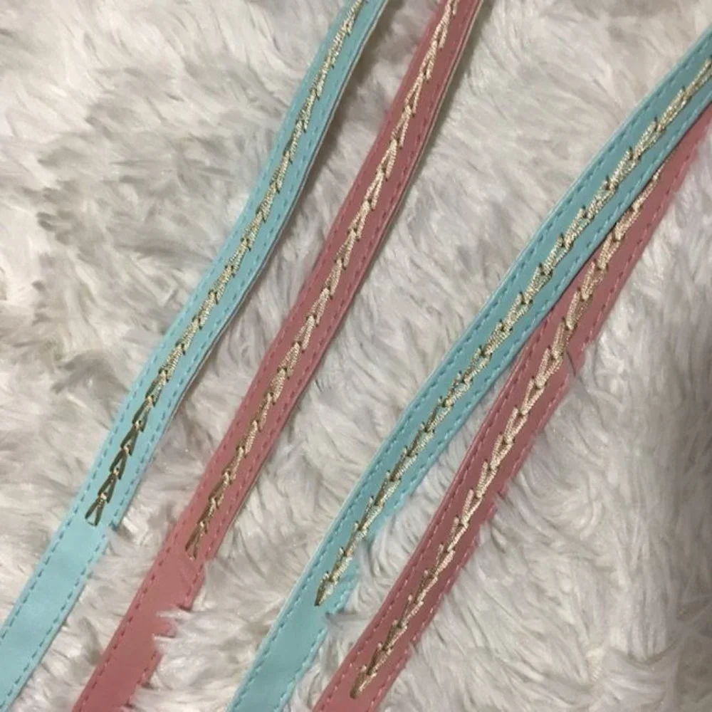 Set of 2 Pink Aqua Vegan Leather Gold Embroidered Fashion Belts